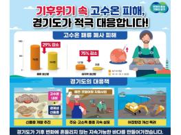 경기도, 고수온 바지락 폐사 막는다…신품종 개발·환경개선 등 대응 총력 기사 이미지