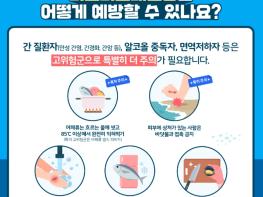 광양시, 비브리오패혈증 예방 수칙 준수 당부 기사 이미지