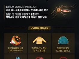 강원특별자치도 올해 첫 일본뇌염 매개모기 확인, 모기 물림 주의 기사 이미지