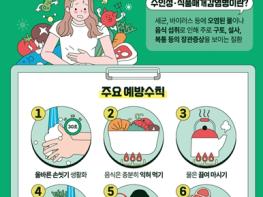 여름철 수인성·식품매개감염병, 예방수칙 실천이 최선… 부산시, 예방수칙 준수 당부 기사 이미지