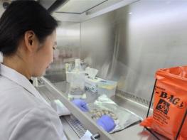 인천시, 겨울철 노로바이러스 식중독 주의 당부…다소비식품 관리 강화 기사 이미지