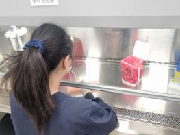 충남 지역 호흡기 바이러스 검출 급증 기사 이미지