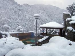 울진군 연말연시 온천·일출·미식 겨울 울진의 매력 기사 이미지