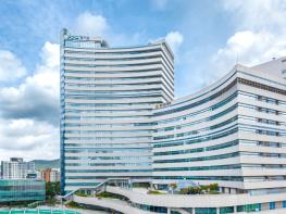 경기도 유통 친환경 농산물 249건 잔류농약 검사 ‘모두 적합’ 기사 이미지