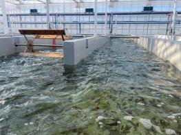 전북자치도, 육상 김 연중 생산 기술 특허 등록 기사 이미지