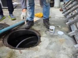 대전 중구보건소, 정화조 청소 후 즉시 유충구제 시행  기사 이미지