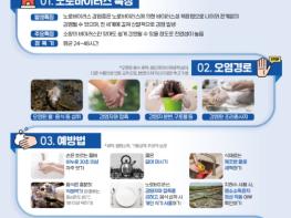 부여군, ‘겨울철 노로바이러스’ 식중독 주의 당부  기사 이미지