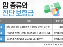 암보험 비갱신형, 3대질병진단비 가입할 때 보험비교사이트 활용으로 편리하게! 기사 이미지