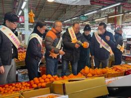 서귀포시, 전통시장 만감류 미숙과 민 · 관 합동 단속 추진 기사 이미지