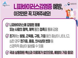 세종시, 니파바이러스 감염 급증…해외여행 주의보 기사 이미지