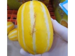 경기도, 전국 최초 ‘아까운 농산물’ 유통 지원…농가소득↑환경오염↓ 기사 이미지