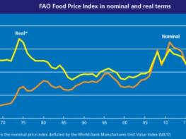 농식품부, 식량농업기구(FAO) 세계식량가격지수 전월 대비 0.9% 상승 기사 이미지