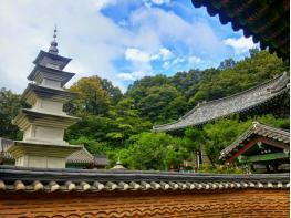 공산주의도 자유주의도 공상사회다 기사 이미지