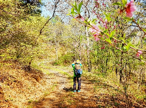 새정부여 공교육을 파괴하자, 보완성과 대체성은 공존-지역감정에 남녀 갈등과 세대 갈등, 노자 모순 기사 이미지