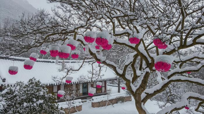 사이비 진보들이 소득주도 성장을 파기하는 것을 막아야 기사 이미지