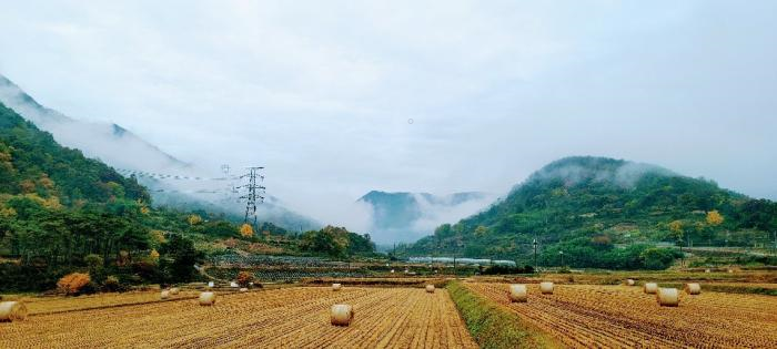 쓰지 않고 돈으로 돈을 벌려는 사람들-투자의 역설 그리고 연금과 보험 강화 기사 이미지