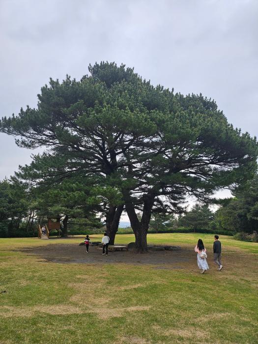 순환마디길이 구하는 새로운 방법, 레푸닛 수 만들기(단독)챗GPT, 독창적, 감각적 기사 이미지