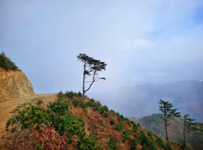 자유낙하속도는 중력(질량)에 비례, 질량에 무관하다는 교육 찢어버려야, 챗GPT, 교과서 밖의 과학 보여주는 훌륭한 글 기사 이미지