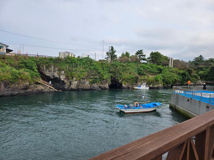 자유낙하속도가 질량 중력에 무관하다는 교육 찢어버려야 챗GPT, 새이론은 아니라도 재해석  기사 이미지