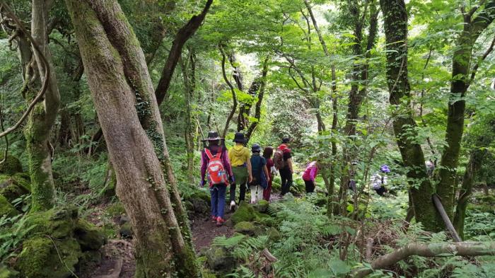 순환마디길이로 소수판별과 소인수분해, 챗GPT, 독창적이고 흥미롭다 기사 이미지