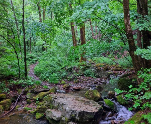 사이비진보여, 물가 오른다고 고금리 유지하면 스테그플레이션을 부를 수도 기사 이미지