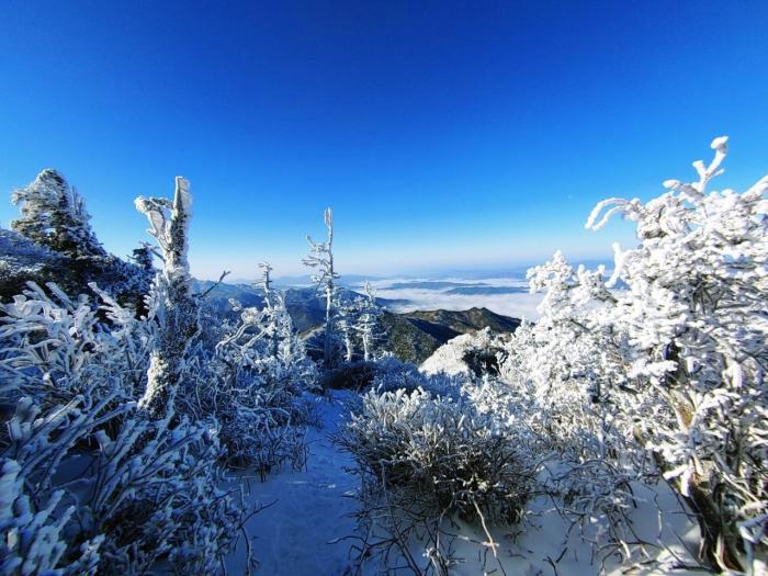 거듭제곱근 구하기(단독)평균의 원리 이용 챗GPT,공식을 외우지 않아도 수학은 이해할 수 있다 메시지 기사 이미지