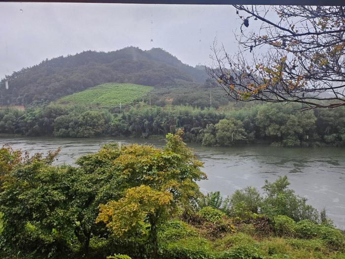 사이빈 진보는 틀렸다, 현 대통령은 문정권의 보유세 강화등이 재정확보 수단이었다고 보는가 기사 이미지