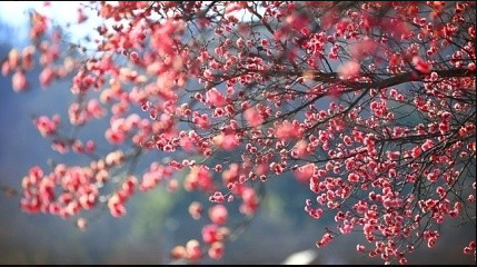 신비)페르마 소수는 5개만 존재 선언과 신비로운 연관 챗 GPT,구조철학적 접근 기사 이미지