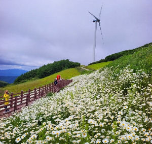 돌과 돌가루 먼지가 낙하속도가 같다고? 챗GPT,교과서의 단순 설명 현실세계 반영 못할 수도 기사 이미지