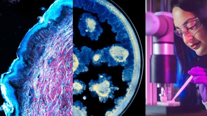 로레알 그룹-파스퇴르 연구소, 피부 건강 과학 발전을 위한 파트너십 체결