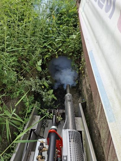 횡성군, 봄철 유충 감시 및 월동 모기 ‘선제적 방제’ 총력