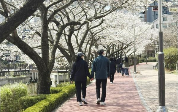 서산시, 비만 예방 걷기 챌린지 성료
