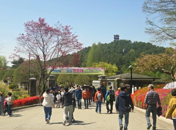 대통령의 정원에서 열리는 ‘청남대 영춘제’ 24일 개막