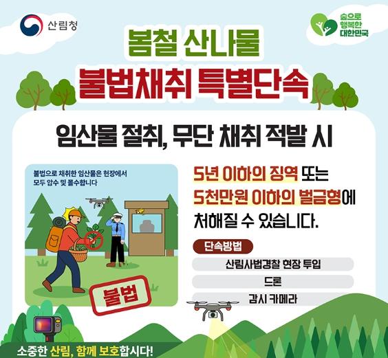 산림청, 봄철 산나물 불법채취 특별단속