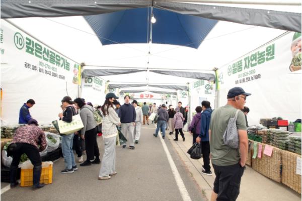 봄의 시작, 제8회 홍천 산나물축제 개막