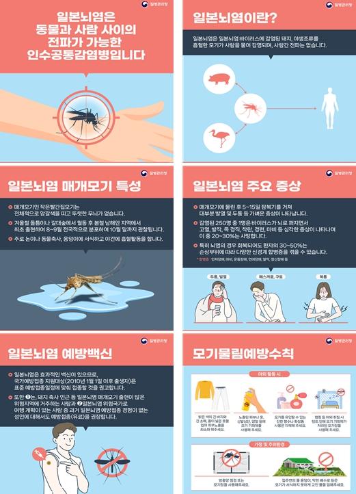 전국 ‘일본뇌염 경보’ 발령 울산시, 시민 대상 모기물림 예방수칙 준수 당부