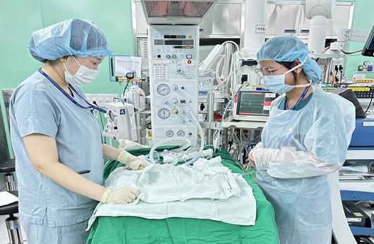 경북도, 캄보디아 핵심의료인력 초청연수 2년째 추진