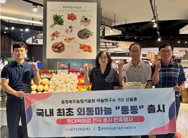 충북농업기술원 개발 '통통' 마늘, 현대백화점 판매 확대