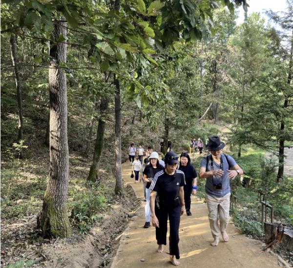 용인특례시 보건소, 지역별 특색 살린 걷기 프로그램 운영