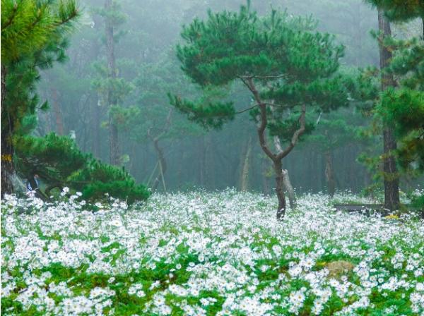 파주 율곡수목원, 가을맞이 ‘율곡힐링캠프’ 운영