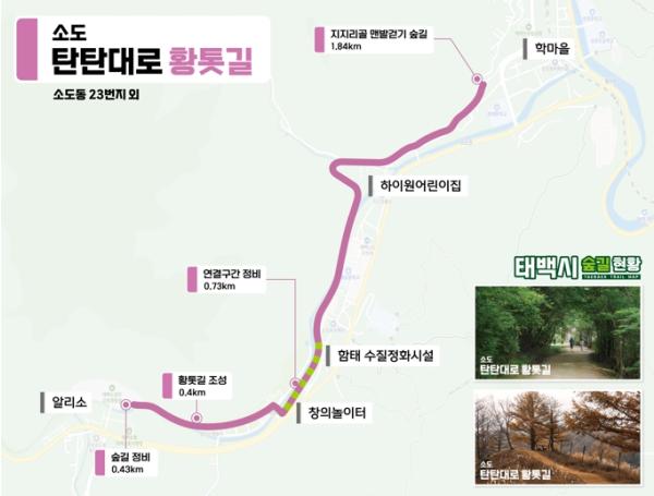 태백시, 함백산 절경부터 생활권 황톳길까지…‘대한민국 대표 산림휴양도시’ 도약